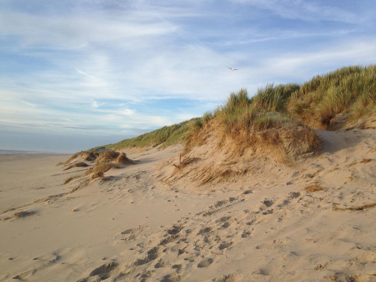 Beachhouses Texel 德科赫 外观 照片